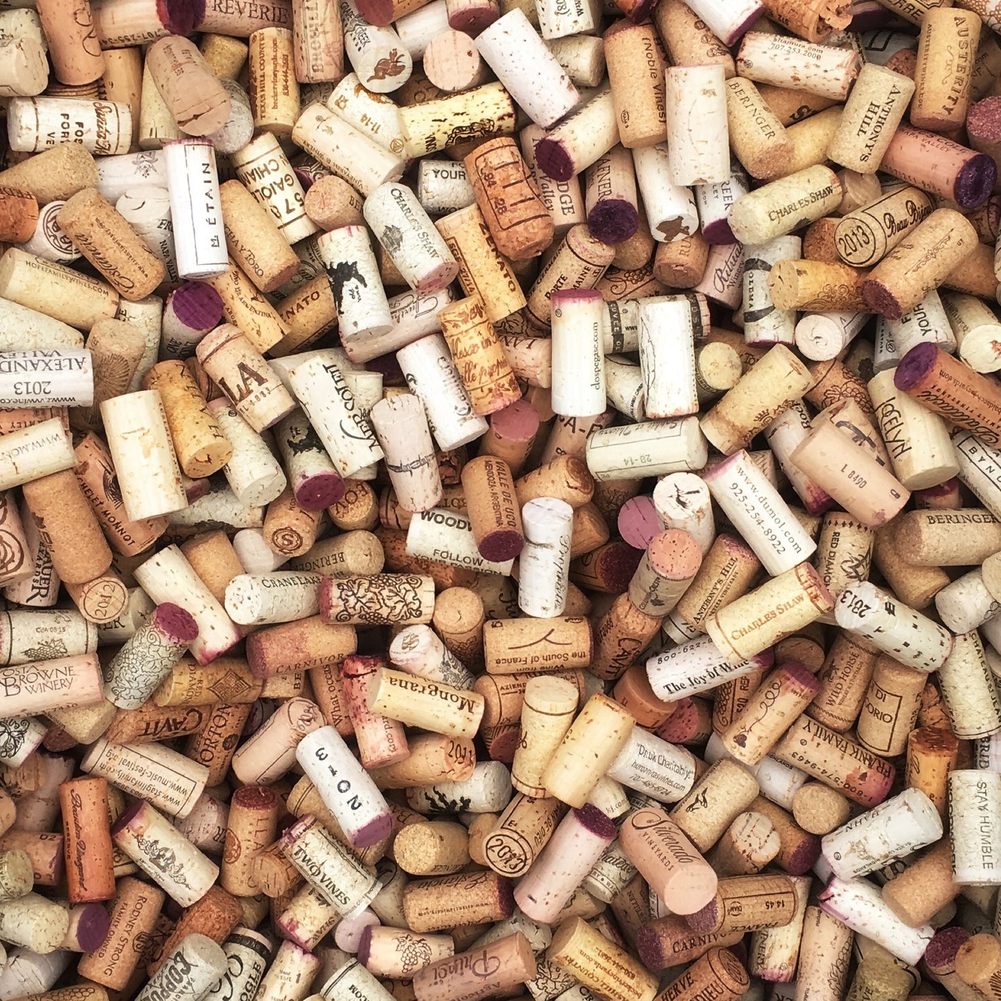 Classic Wine Cork Place Card Holders with Printed Guest Names