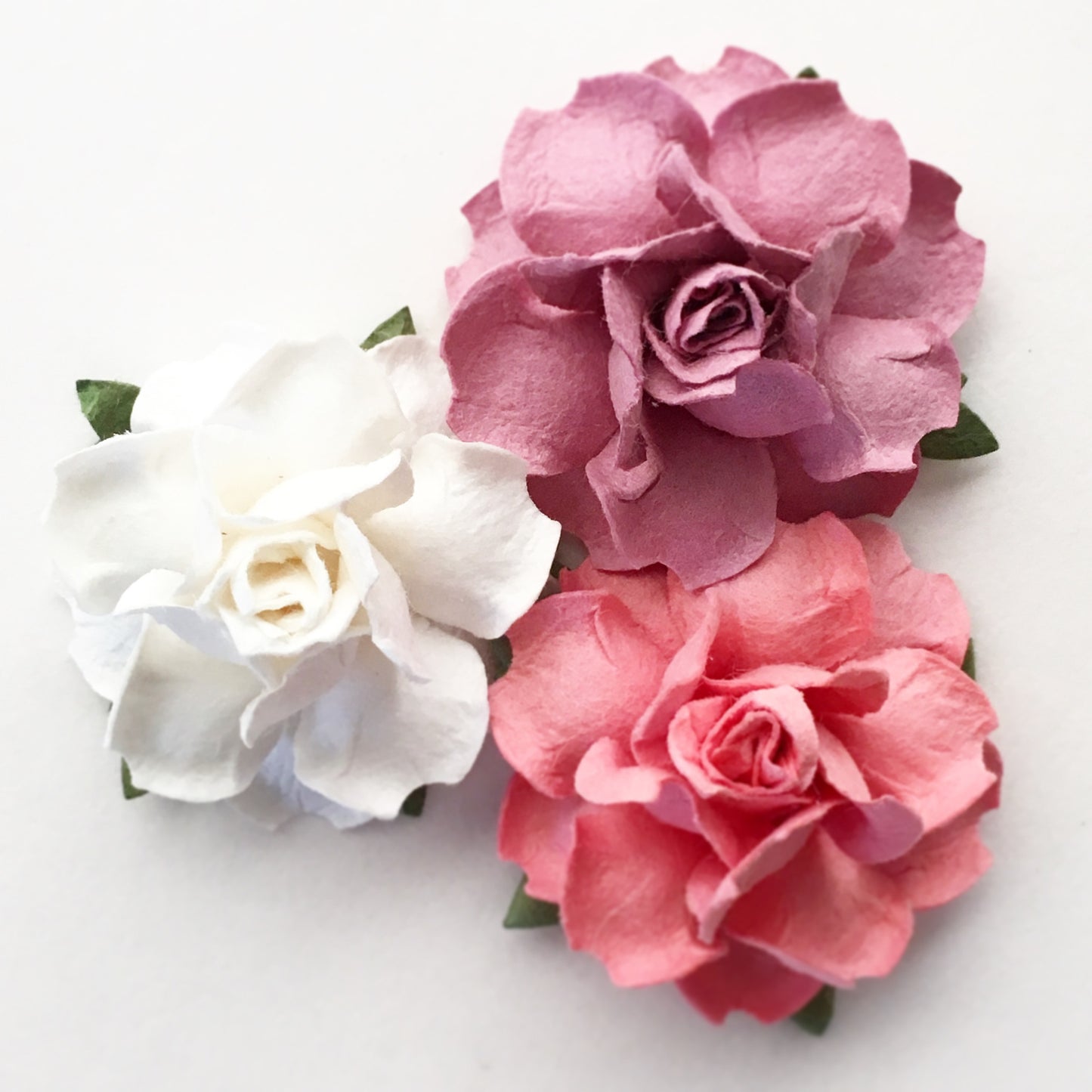 50 Paper Succulents, 1.5" Size