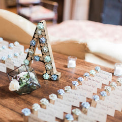 Succulent Place Card Holder